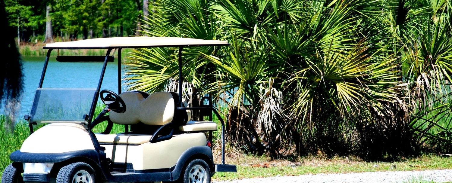 Golf cart and palm bush on a golf course.