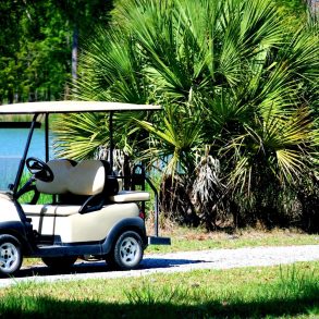 Golf cart and palm bush on a golf course.