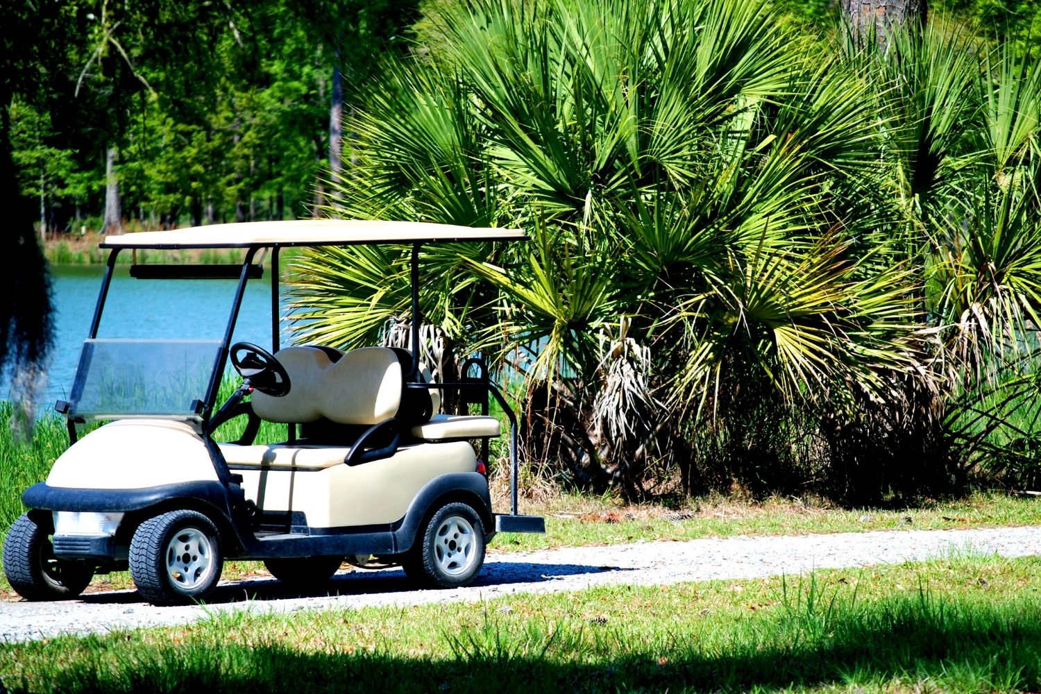 Top 3 Isle of Palms Golf Courses You Need to Play At - East Islands Rentals