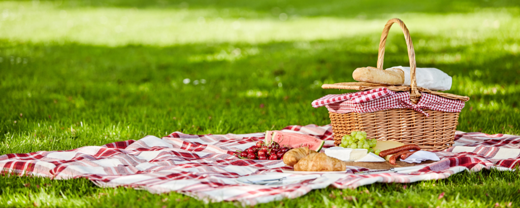 picnic on grassy lawn