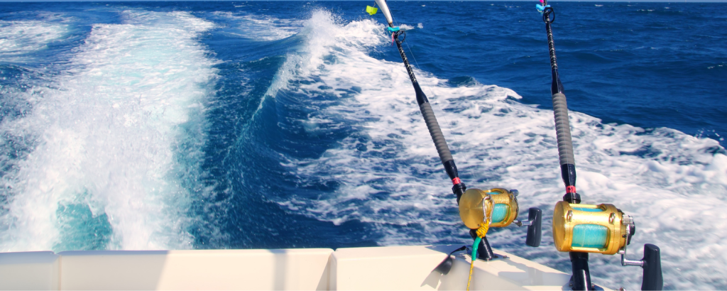 charleston, sc boat rentals