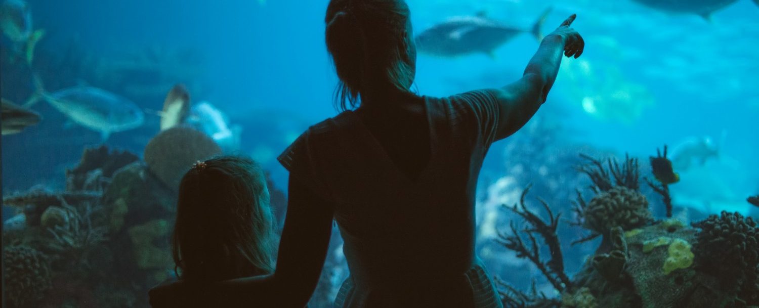 Woman and her daughter in the aquarium.