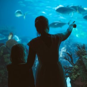 Woman and her daughter in the aquarium.