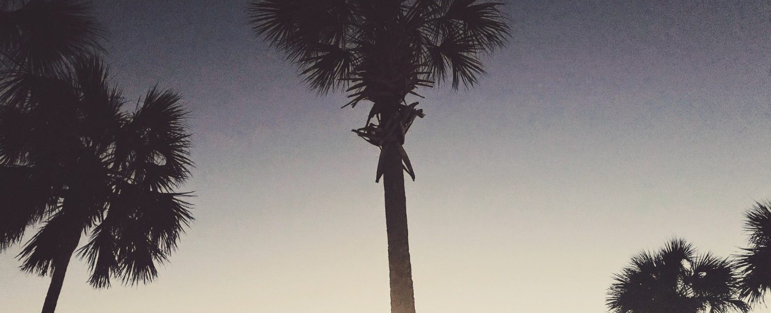 Everything You Need to Know About Isle of Palms Beach Parking East