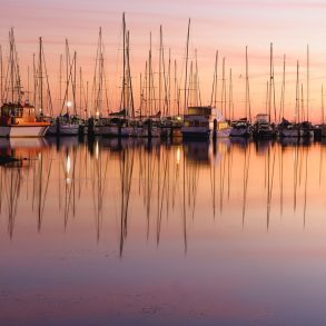 boats at sunset in a marina