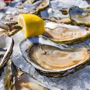 Half shell shucked oysters on a bed of ice