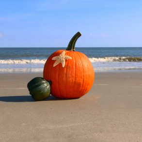 Pumpkin and squash with a starfish for a Halloween photo on the beach.