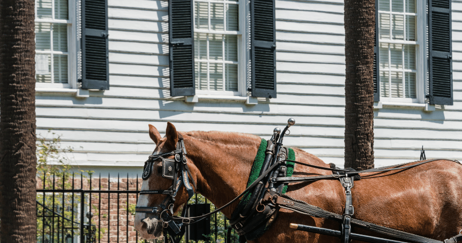 Two horses drawing a carriage in downtown charleston