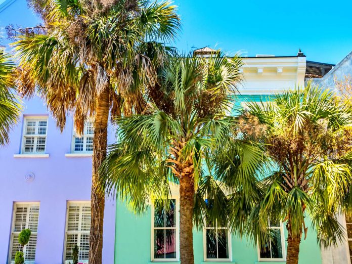 Several palmettos in front of colorful homes on rainbow row in downtown Charleston SC