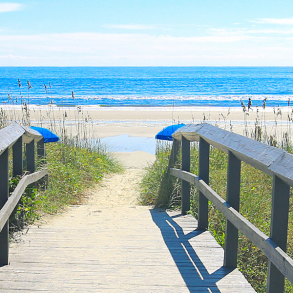 beach access, isle of palms beach rules