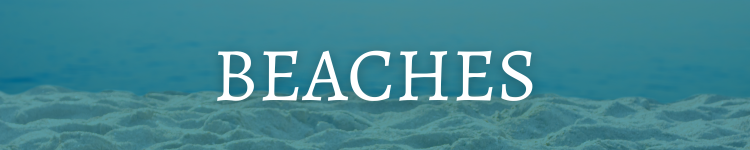 beaches header image