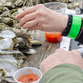 oyster roast