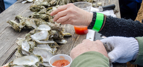 oyster roast