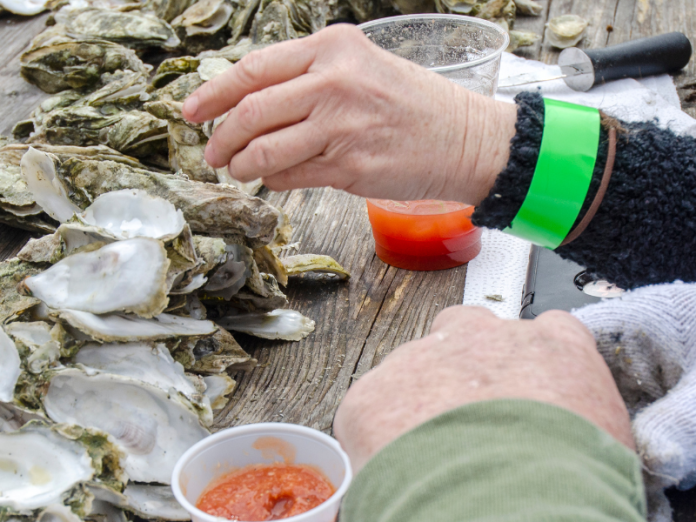 oyster roast