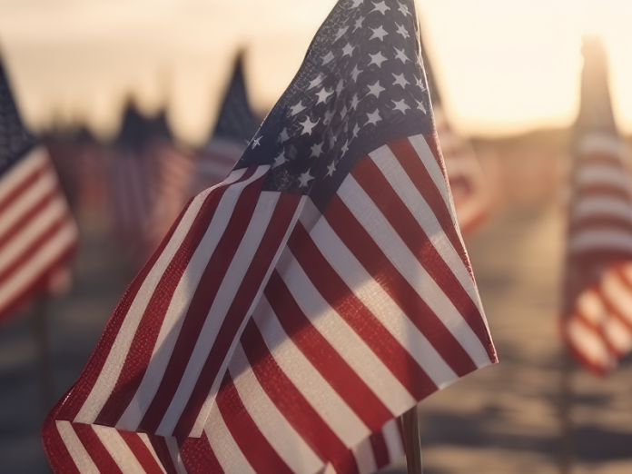 american flags on beach