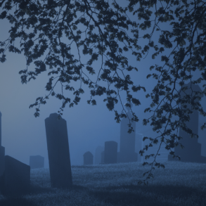 Ghost Isle of Palms Tours