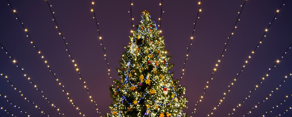 lighted outdoor christmas tree