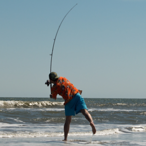 isle of palms surf fishing