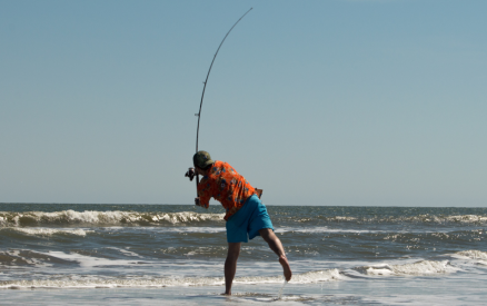 isle of palms surf fishing