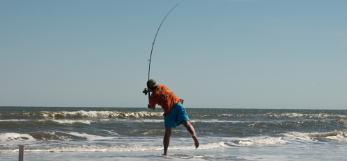isle of palms surf fishing