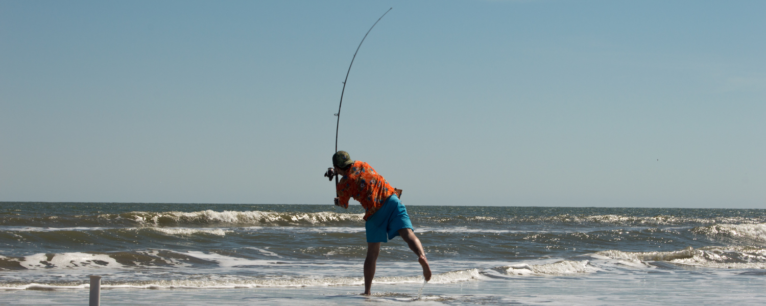 isle of palms surf fishing
