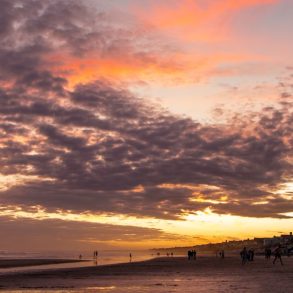 A beach on the Isle of Palms.