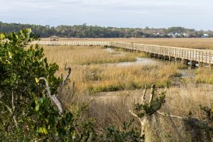 South Carolina Low Country