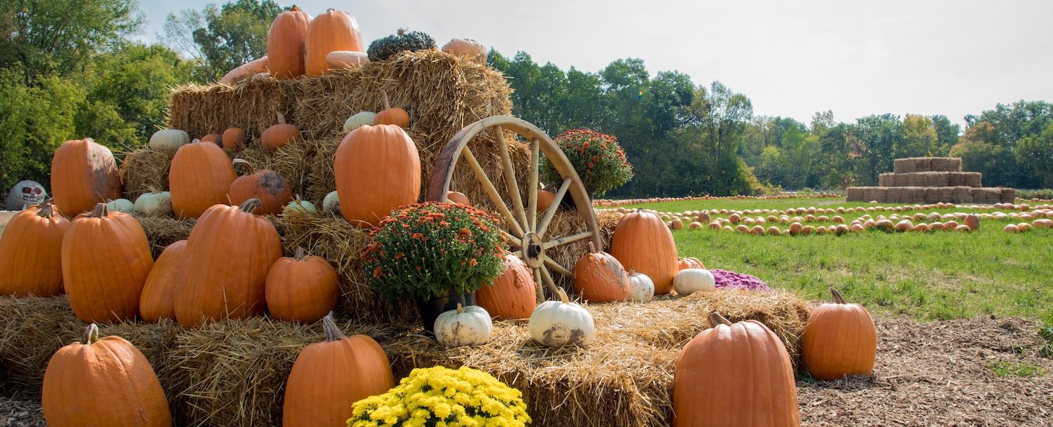 Fall harvest display with pumpkins and hay on the farm.
