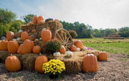 Fall harvest display with pumpkins and hay on the farm.