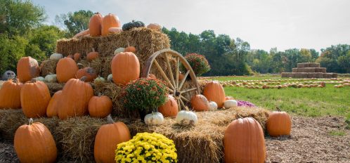 Fall harvest display with pumpkins and hay on the farm.